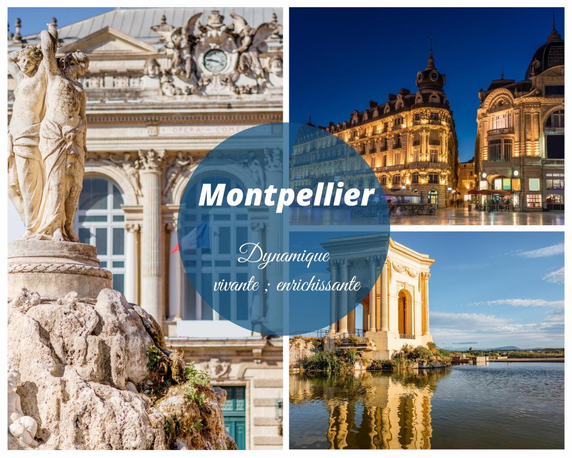 Le Marineland Clim Parking Prive Proche Centre Casino Et Palais Des Congres Appartement *